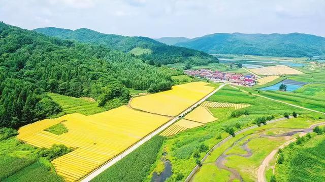 安徽省安庆市宜秀区 安徽省安庆市宜秀区代码