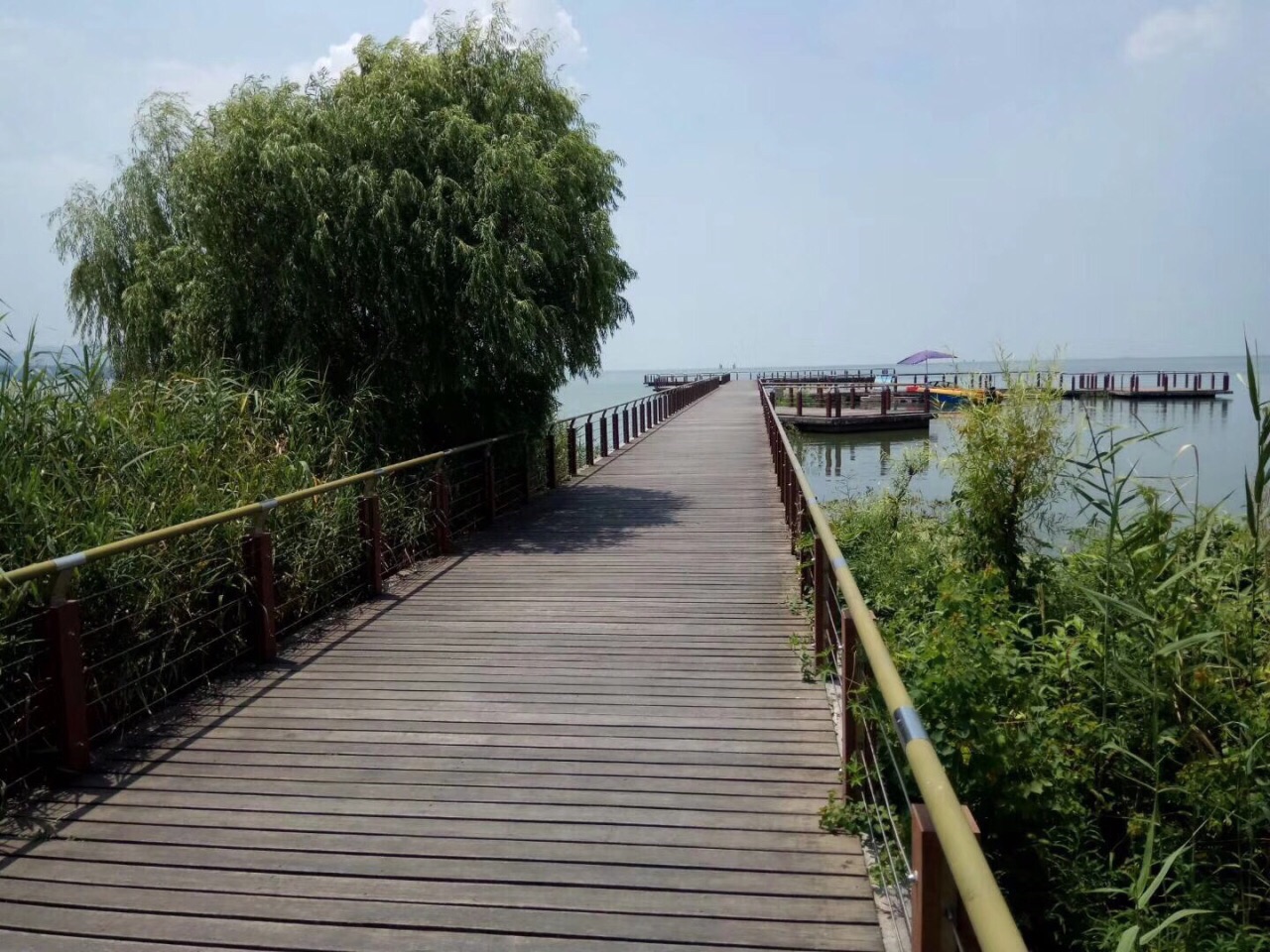 合肥巢湖风景区 合肥巢湖风景区姥山岛