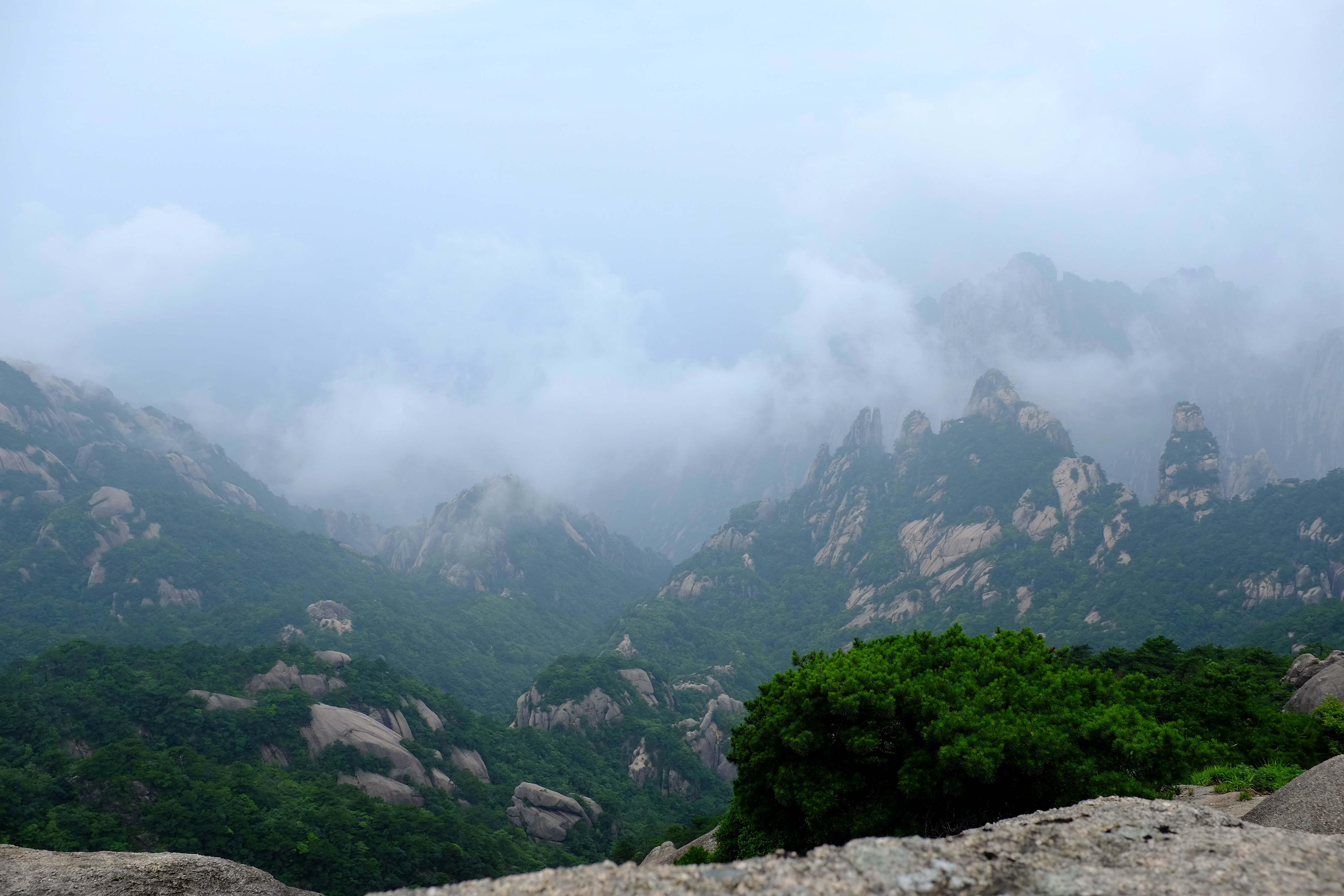 黄山景色的特点 黄山景色的特点是什么呢