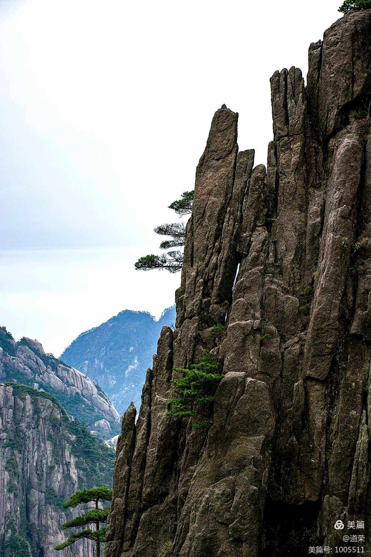 黄山景色的特点 黄山景色的特点是什么呢