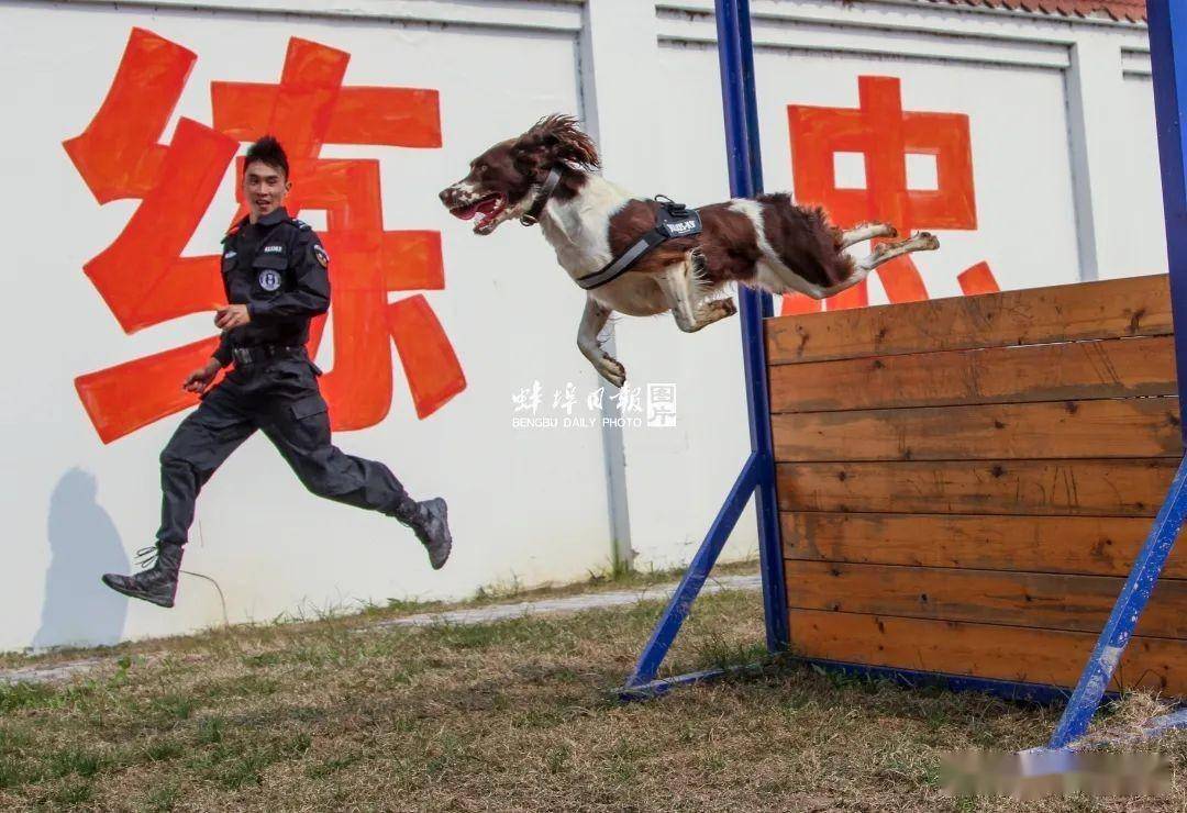 蚌埠警察刘建反映什么情况 