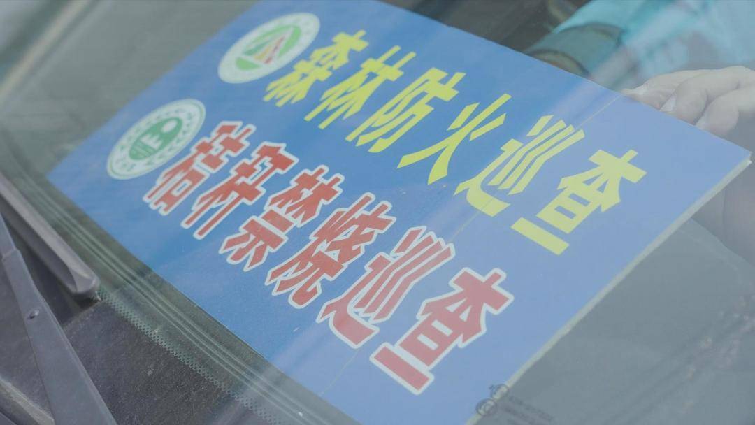 安徽公共频道真实事件全集 安徽公共频道视频