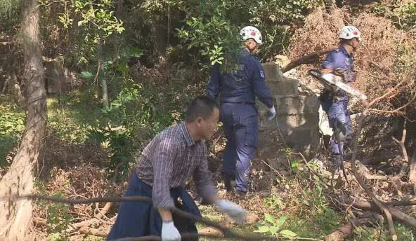 鳄鱼屿 鳄鱼屿海岛游