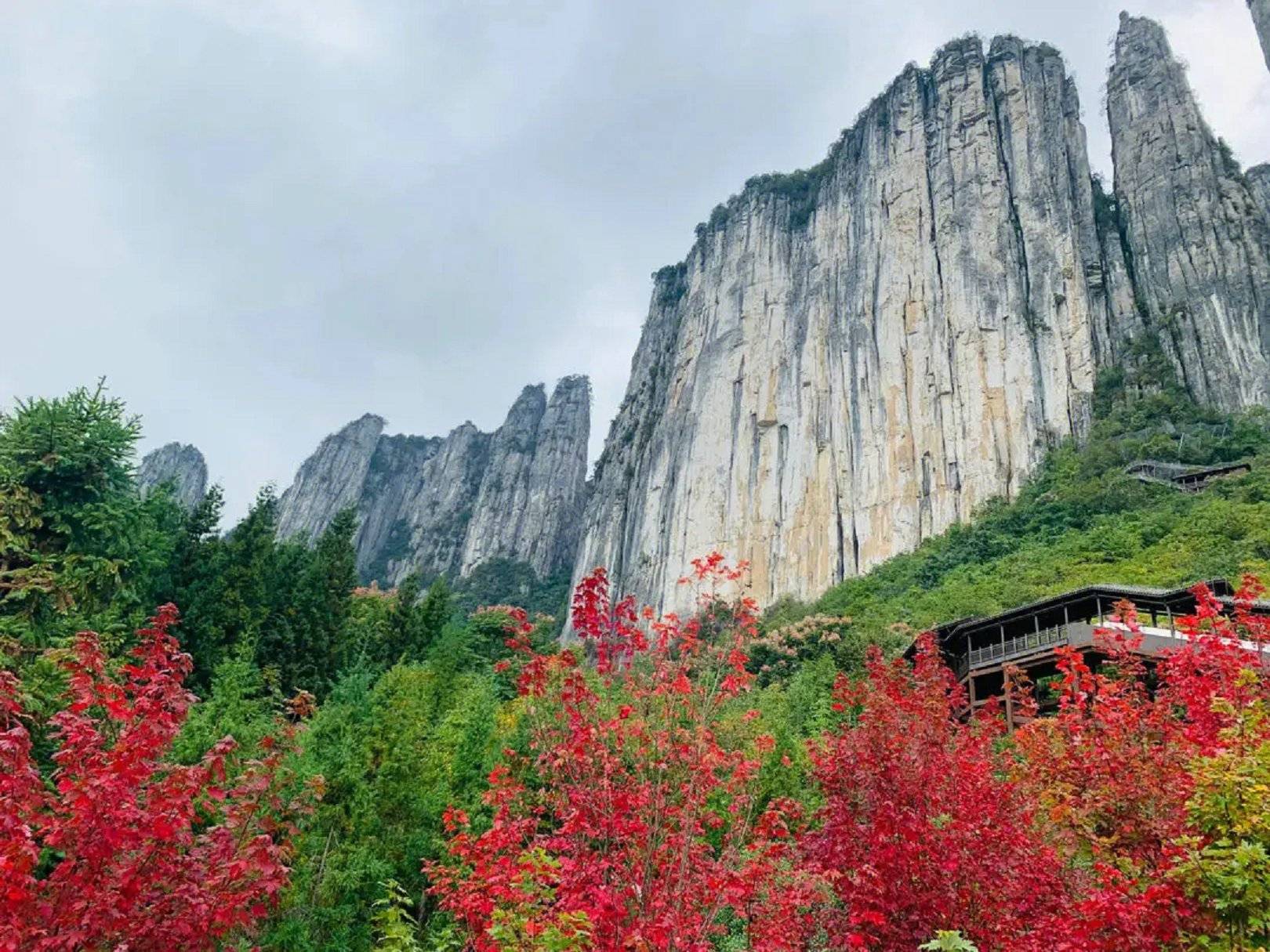 周口景点 周口景点介绍