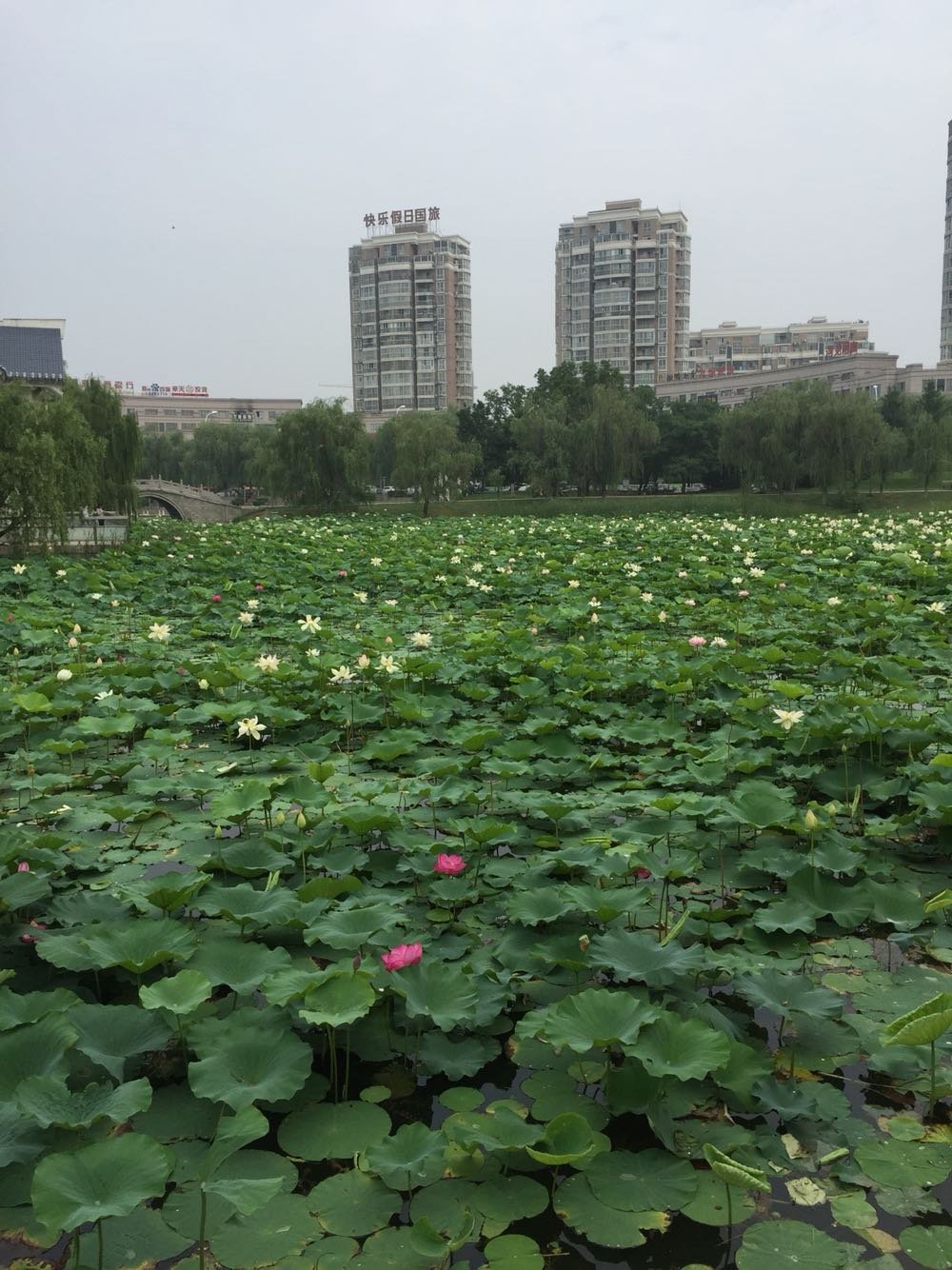 阜阳市颍州区 阜阳市颍州区教育局电话