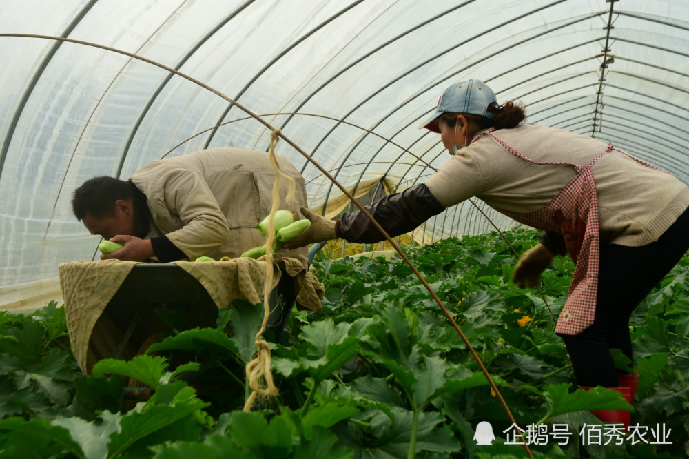 农民如何创业 农民如何创业成功