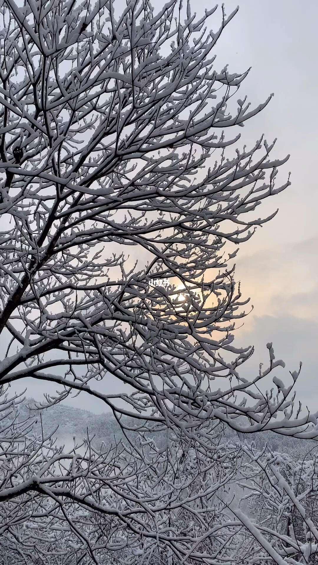 安徽下雪了吗2022年 安徽下雪了吗2020今天