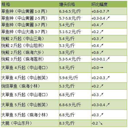 鱼苗批发价 鱼苗批发基地批发市场