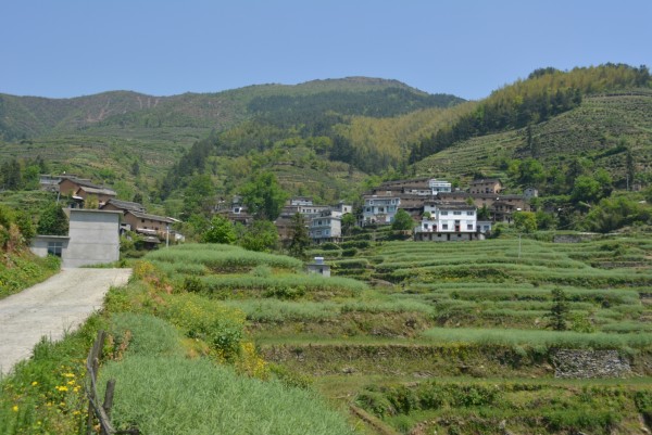 安徽歙县什么岭村 安徽歙县石潭北岭山