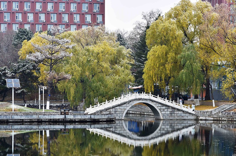 东北师范大学 东北师范大学研究生专业有哪些