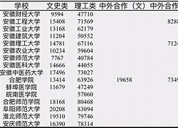 安徽大学级别 