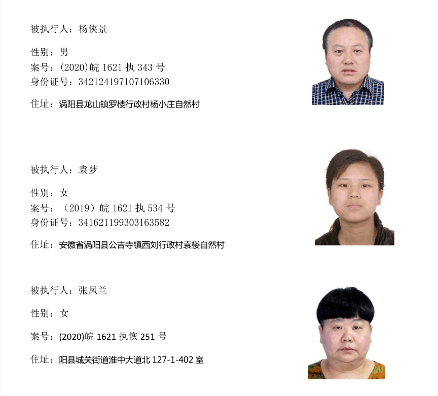 阜阳老赖人员名单查询 