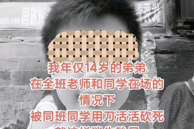 校园暴力有关事件 校园欺凌事件真实案例2024