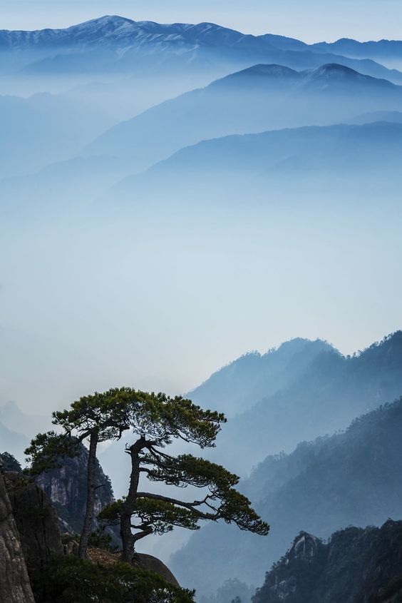 安徽黄山风景区 