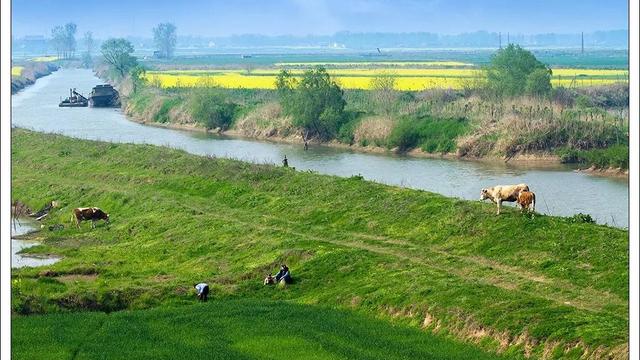 安徽农村是什么样子 