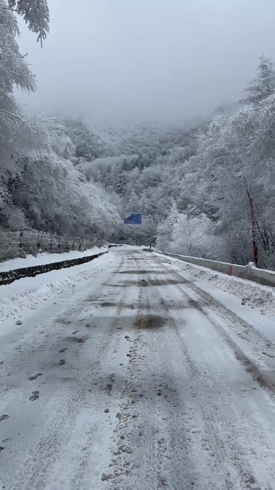 11月份哪里会下雪适合旅游 冬天看雪景去哪旅游合适