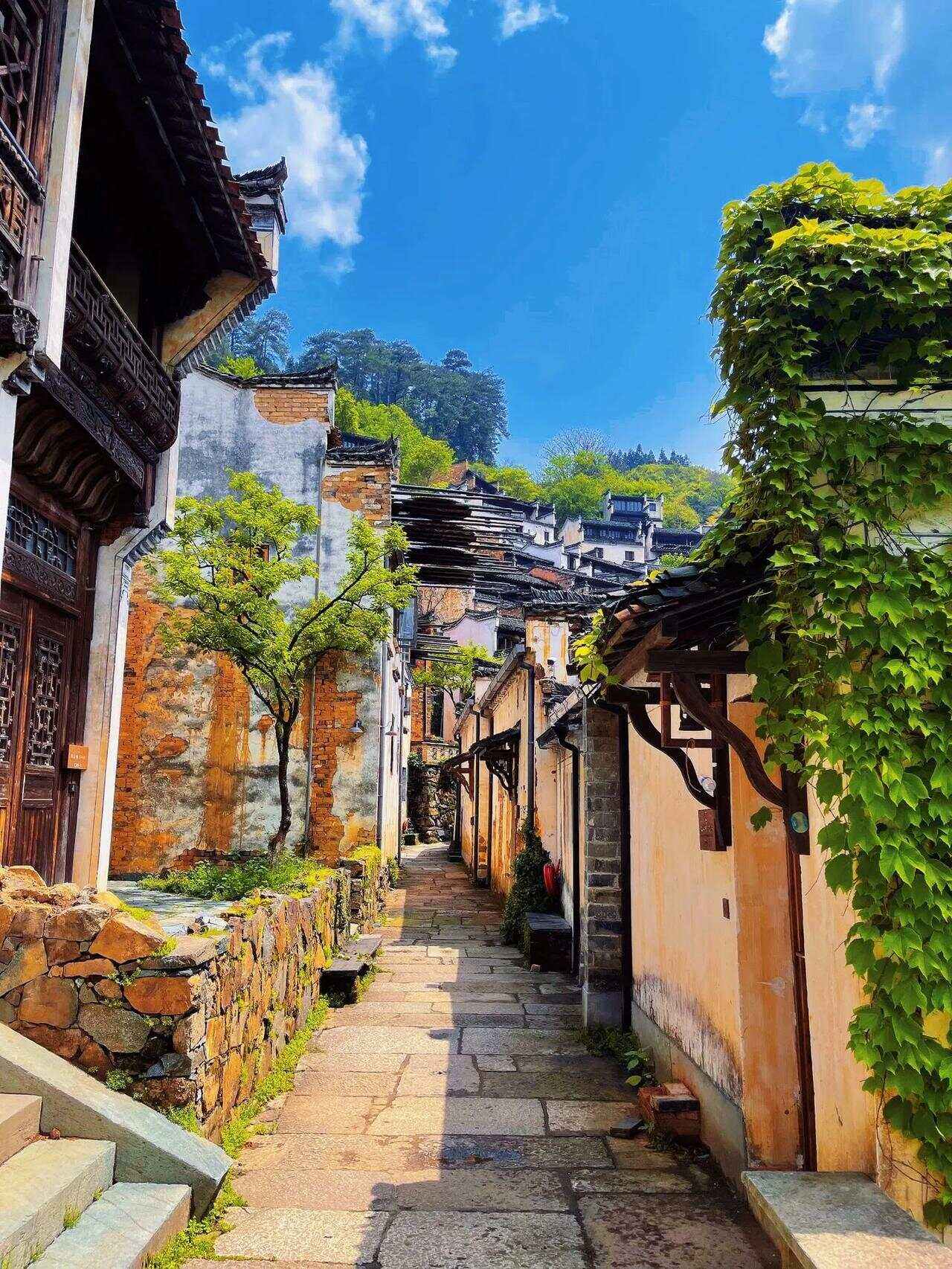 黄山附近的旅游景点大全 黄山附近的旅游景点大全介绍