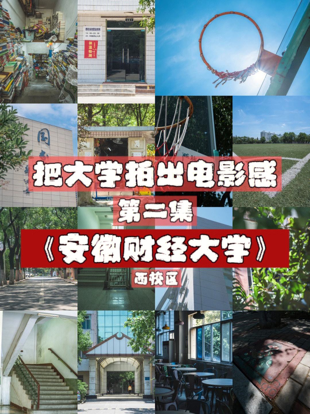 安徽财经大学的组织结构图 安徽财经大学的组织结构是什么