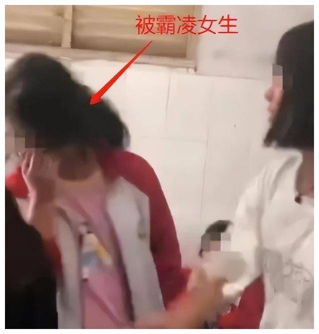 校园霸凌打一名女生 