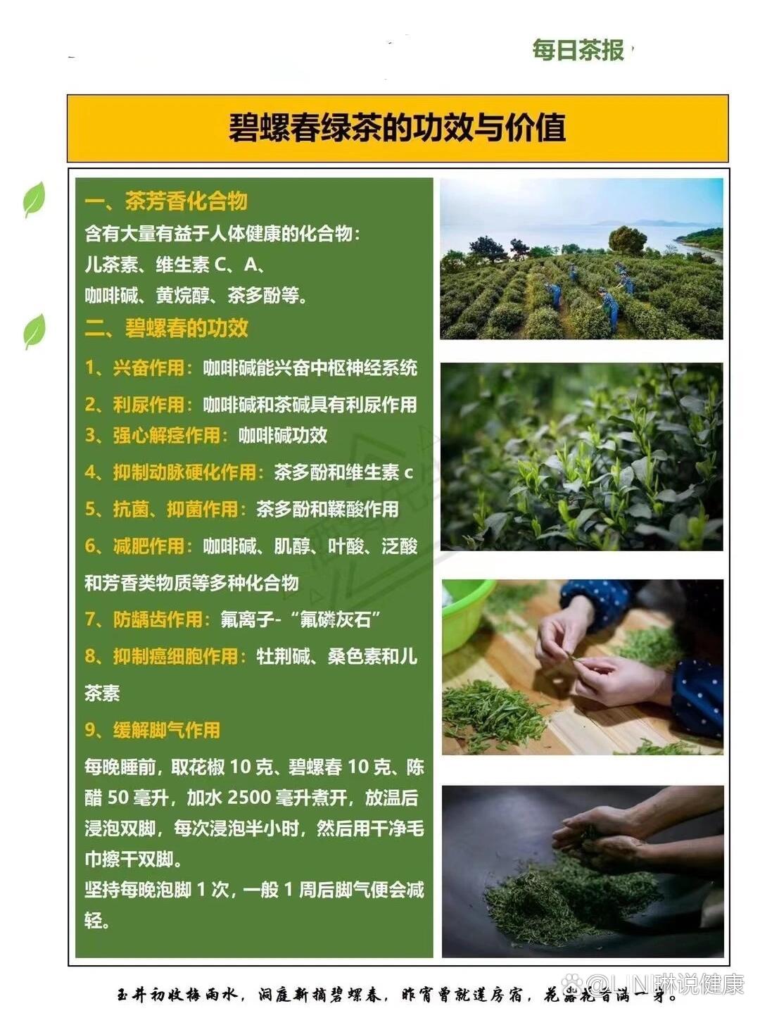 碧螺春茶叶的功效 